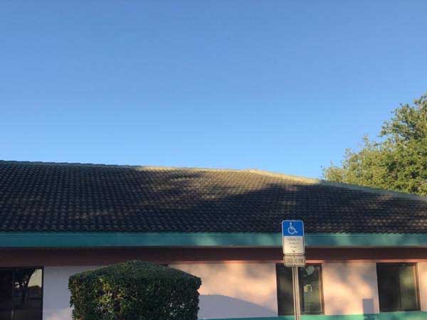 Friss_voor_SoftWash_dak_shingle_mos_korstmos_aanslag_groen_vuil_voor Friss_voor_SoftWash_dak_shingle_mos_korstmos_aanslag_groen_vuil_voor