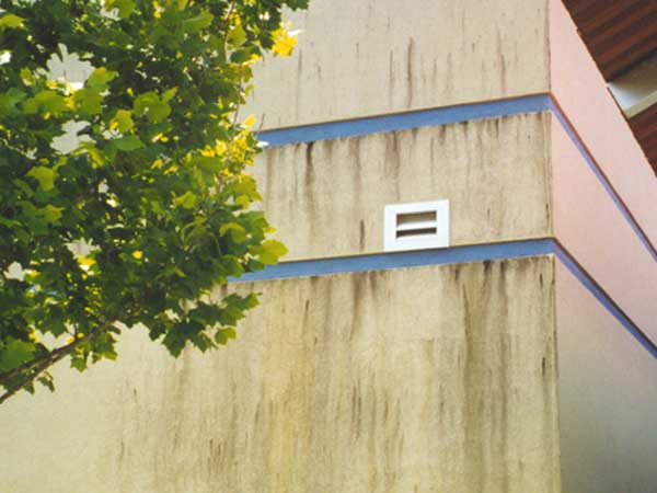 Friss_voor_SoftWash_reiniging_behandeling_gevel_stuc_woning_mos_aanslag_vuil_zwart_strepen Friss_voor_SoftWash_reiniging_behandeling_gevel_stuc_woning_mos_aanslag_vuil_zwart_strepen