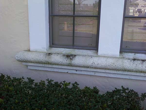 Friss_voor_SoftWash_woning_huis_gevel_vensterbank_natuursteen_beton_waterslag_plank_vuil_zwart_groen_mos_strepen Friss_voor_SoftWash_woning_huis_gevel_vensterbank_natuursteen_beton_waterslag_plank_vuil_zwart_groen_mos_strepen
