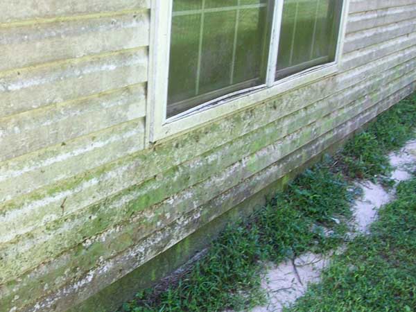 Friss_voor_SoftWash_woning_huis_gevel_hout_plank_vuil_zwart_groen_mos_strepen Friss_voor_SoftWash_woning_huis_gevel_hout_plank_vuil_zwart_groen_mos_strepen