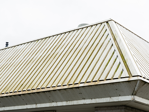 FrissvoorSoftWash_bedrijf_gebouw_dak_damwand_groene_aanslag_mos_vuil_voor FrissvoorSoftWash_bedrijf_gebouw_dak_damwand_groene_aanslag_mos_vuil_voor