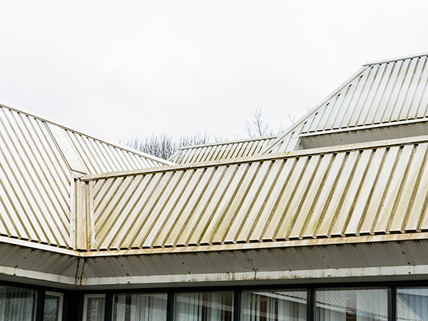 FrissvoorSoftWash_bedrijfsgebouw_daken_damwand_alg_groen_aanslag_voor