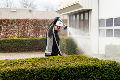 FrissvoorSoftWash_planten_beschermen_voeden_methode_PlantWash FrissvoorSoftWash_planten_beschermen_voeden_methode_PlantWash